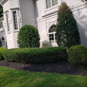 Bush Trimming by SGP Lawn Services reviewed on August 20, 2025