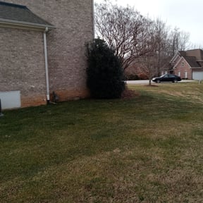 Bush Trimming by Big Horn Landscaping reviewed on August 18, 2025