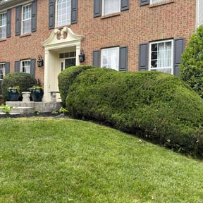 yard care by Tri Stars landscaping and Snow Services LLC reviewed on November 23, 2025