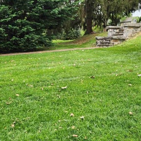 yard service by Tuck's Laboring & Property Maintenance reviewed on August 18, 2025