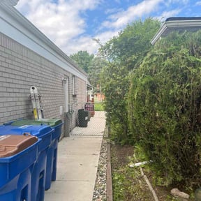 Bush Trimming by R J Lawn Care reviewed on August 16, 2025