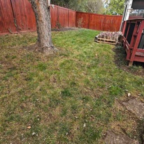 Leaf Removal by Hugo Lopez Landscaping reviewed on August 20, 2025