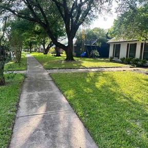 yard care by Caesar’s Premier Landscaping reviewed on August 16, 2025