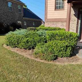 Bush Trimming by The Mowing Bro's LLC reviewed on August 20, 2025