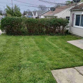 Bush Trimming by Griphs Mowing reviewed on May 5, 2026
