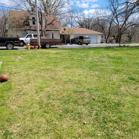 Leaf Removal by Lawn Fades reviewed on September 24, 2025