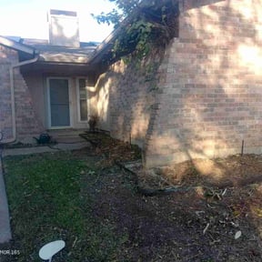 Bush Trimming by Surgical Kutz ,LLC reviewed on November 19, 2025