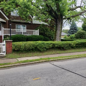 Bush Trimming by Texas Fencing & Landscaping (Duplicate) reviewed on August 20, 2025