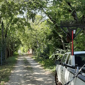 Bush Trimming by MPP Landscaping reviewed on August 13, 2025