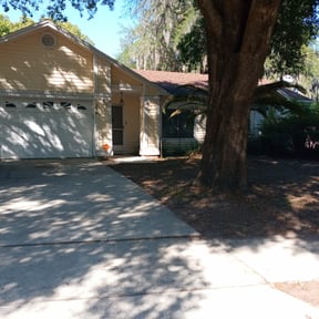 Leaf Removal by Still Waters caretaker of His creation LLC reviewed on September 24, 2025