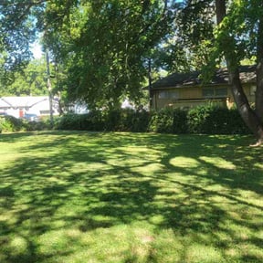 lawn service by Emerald Green Property Management LLC reviewed on November 7, 2023