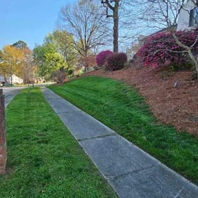 grass maintenance by Lousgrass  reviewed on July 21, 2022