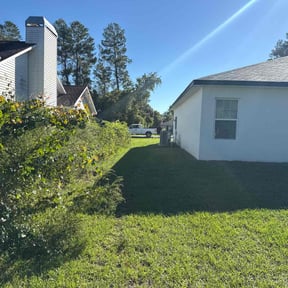 Bush Trimming by No company name reviewed on June 17, 2020