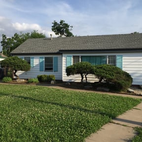Bush Trimming by Tim's lawn care reviewed on August 20, 2025