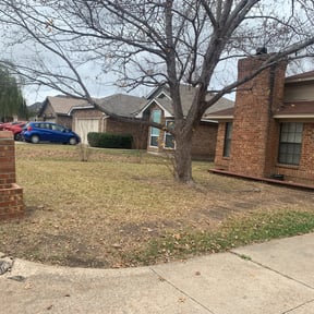 Leaf Removal by MVP Lawn &amp; Landscaping reviewed on September 7, 2025