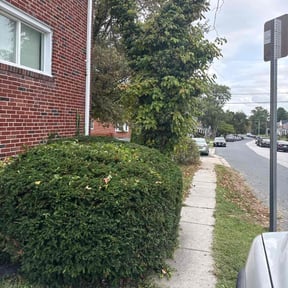 Bush Trimming by Hudson Lawn Pro reviewed on October 23, 2025