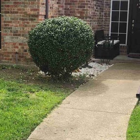 Bush Trimming by Extra Mile Lawn Care and Junk Removal reviewed on October 19, 2025