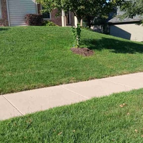 yard maintenance by Midwest Lawns &amp; More LLC reviewed on August 16, 2024