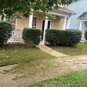 Bush Trimming by Family Landscaping reviewed on August 16, 2025