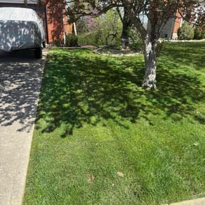 landscaping by The Right Cuts reviewed on June 6, 2022