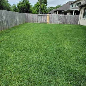landscaping by Dorman property services reviewed on August 18, 2025