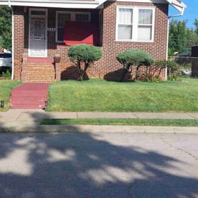 turf care by GreenCut Lawn Care reviewed on April 18, 2024