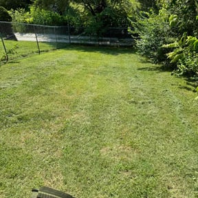 lawn care by Busy Bee's Lawn Care LLC reviewed on August 10, 2024