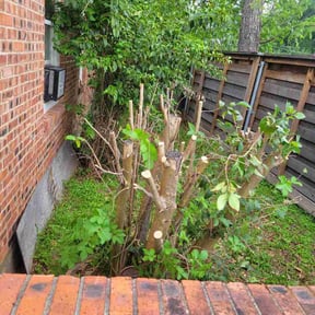 Bush Trimming by Lawn Pro grounds management reviewed on April 21, 2026