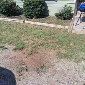 Bush Trimming by Trey Johnson landscaping reviewed on August 20, 2025
