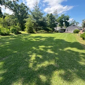 landscaping by W. D. Giampa Lawn & Landscapes, INC. reviewed on August 16, 2025