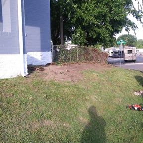 Bush Trimming by Sonoma Lawns reviewed on August 20, 2025