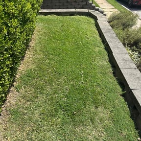 lawn maintenance by JG Lawn Care reviewed on January 10, 2024