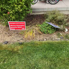 Flower Bed Weeding by First Due Lawnscapes reviewed on November 18, 2025