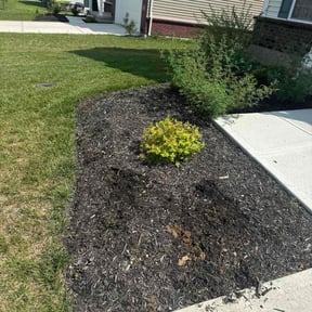 Flower Bed Weeding by Essential Water Works Solutions LLC reviewed on October 19, 2025