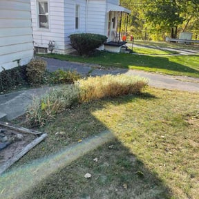 Flower Bed Weeding by Neighborhood Cutz reviewed on October 20, 2025