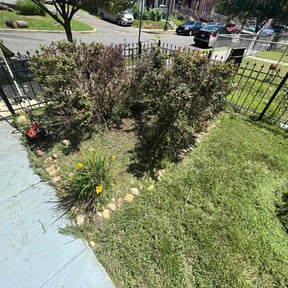 Bush Trimming by T &O Landscape Service LLC reviewed on August 18, 2025