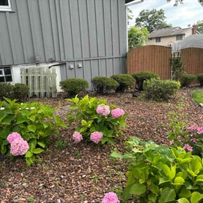 Bush Trimming by Gutierrez landscape reviewed on July 12, 2026