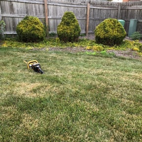 Bush Trimming by ABC Lawn and Waterscapes reviewed on August 18, 2025