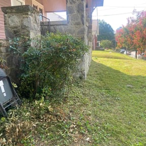 Bush Trimming by Richard  Solier reviewed on October 21, 2025