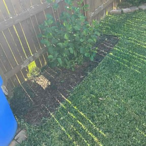 Flower Bed Weeding by Perfect angles reviewed on October 23, 2025