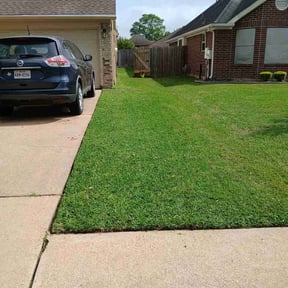 lawn maintenance by OTG Services reviewed on August 20, 2025