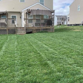 residential landscaping by MoPro reviewed on November 26, 2025