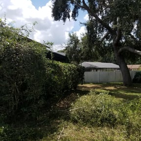 Bush Trimming by Vazquez Landscaping Maintenance, LLC reviewed on August 17, 2025