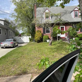 Bush Trimming by Electrifying lawn care reviewed on May 3, 2026