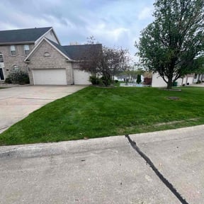 turf care by White wolf mowing reviewed on August 1, 2025
