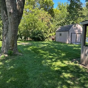 turf care by PNC Delivery Express reviewed on July 29, 2025