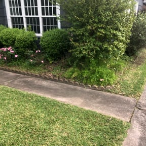 Bush Trimming by DB Yard Upgrade reviewed on August 15, 2025