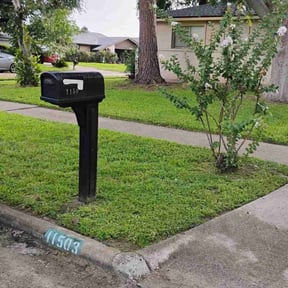 yard care by DC Lawn treatment LLC reviewed on August 21, 2025