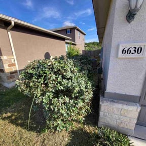 Bush Trimming by Both Sides Of The Fence Lawn Care and Maintenance LLC. reviewed on August 21, 2025