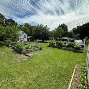 yard care by DJJ Lawn Care LLC reviewed on August 17, 2025
